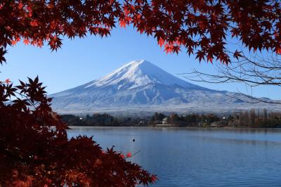 こりもせづ河口湖4(山梨県河口湖）へ・・・