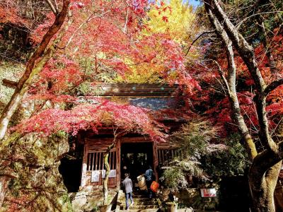 秋の大分巡り3日目。耶馬溪、羅漢寺、宇佐神宮。