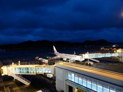 初めての石垣島2019⑤（3日目・帰路編）