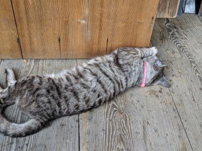 いつもと違う京都の楽しみ方!