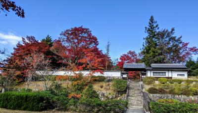 紅葉をもとめて柳生の里と岩船寺へ