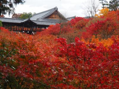 2019京都紅葉旅行(2)東福寺、光明院、平等院、二条城、京都国立近代美術館
