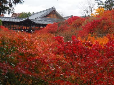 2019京都紅葉旅行（２）東福寺、光明院、平等院、二条城、京都国立近代美術館