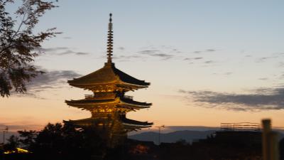 2019京都紅葉旅行(3・完)毘沙門堂、醍醐寺、清水寺、高台寺ライトアップ