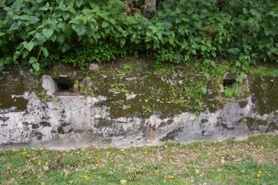 2019年 8回目のパラオ共和国ショートバケーションですぅ。 Part 3