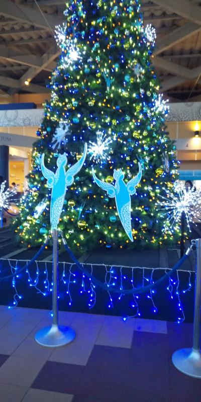 新江ノ島水族館～夕陽の浜辺、光と影の誘惑～