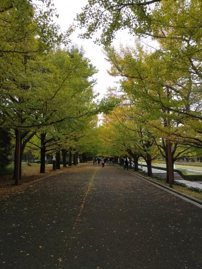 11月は大忙し★2019年お誕生月～お食事会や昭和記念公園・サンリオピューロランドなど～