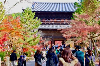 ブララブコー  「京都の紅葉を狩り尽くせ！～mission3－1 哲学の道を攻略せよ！！南禅寺・天授庵編～」