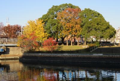 2019初冬、熱田・白鳥の紅葉(1/5)：地下鉄で伝馬町駅へ、堀川、熱田の寺社、白鳥庭園へ