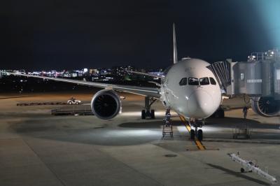 専用入口から・・・伊丹空港ダイヤモンドプレミアラウンジ、国内線B788のファーストクラス。