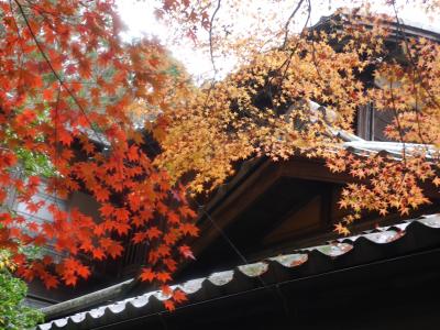 晩秋の京都③（２日目前半）☆八瀬もみじの小径・蓮華寺・瑠璃光院☆出町ふたば☆2019/11/28