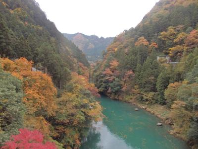 大多摩ウオーキングトレイルの紅葉を求めて