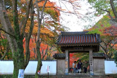 大威徳寺の紅葉　大阪府岸和田市