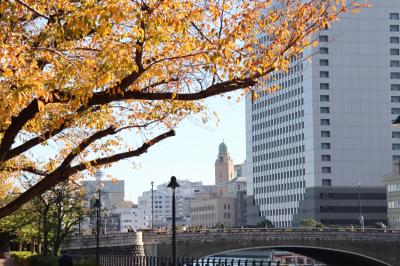 横浜の秋景を楽しむ・・・