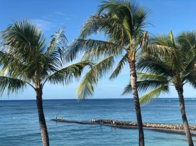 コップとカーの『挙式でハワイへ♪♪』ひさしぶり！　ハワイ！　その5　