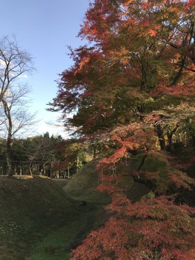 愛知県の山・紅葉の鳳来寺山：鳳来寺～湯谷温泉の東海自然歩道を歩く④（紅葉 と温泉、長篠城址の紅葉）