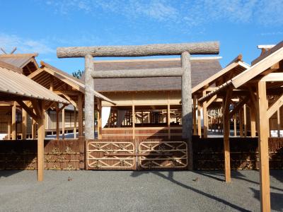 霞が関周辺の風景　皇居乾通りの紅葉と大嘗宮