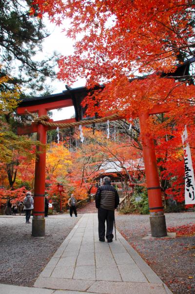 2019秋の紅葉散策①～京都亀岡･鍬山神社