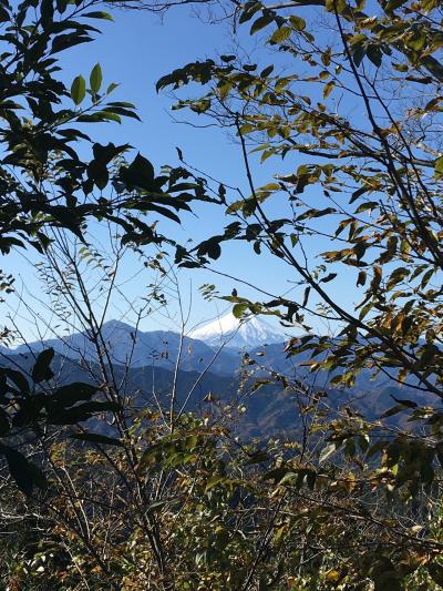 高尾山で紅葉ハイキング