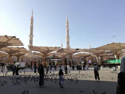 弾丸サウジアラビア1911　「観光ビザが解禁になったばかりのサウジアラビア・イスラム第2の聖地を訪れました。」　～メディナ～