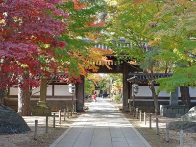 紅葉の本土寺、東漸寺へ（千葉県松戸市）