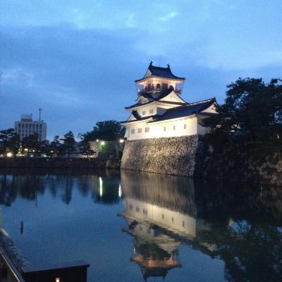 一時帰国旅行2015年6月(東京~富山~大阪)