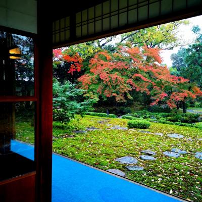 京都南座へ歌舞伎を観に。紅葉の毘沙門堂、知恩院、旧三井家下鴨別邸