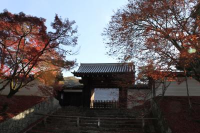 曼殊院門跡と圓光寺の紅葉