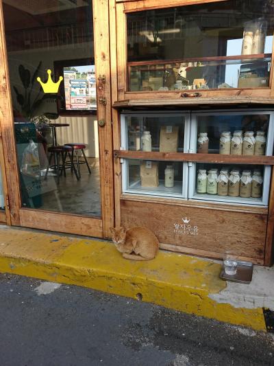 30代半ば女の一人旅in釜山(食べてばかり)1日目