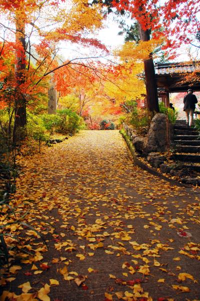 2019秋の紅葉散策②～京都亀岡･神藏寺