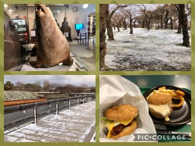 初冬の函館へ☆寒さに震え・・・函館市北洋資料館⇒五稜郭公園⇒ラッキーピエロ