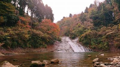 日帰り旅行 千葉県 ちょっと早かった養老渓谷の紅葉狩り