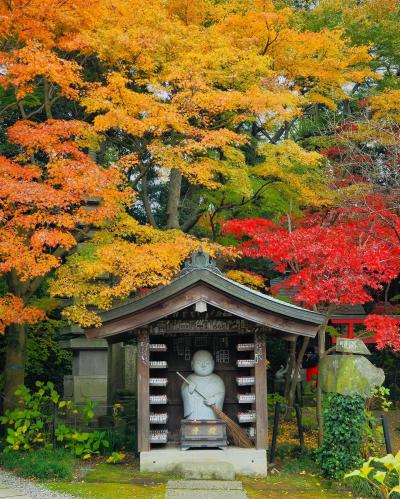 １２月に染まる千葉の紅葉　本土寺