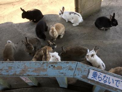 日帰り大島旅行　島だって日帰り～！