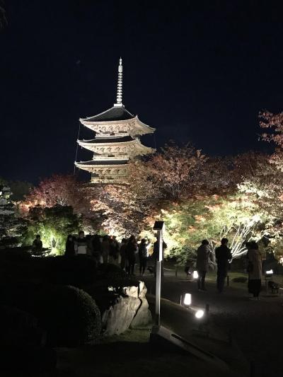 大阪泊の京都旅