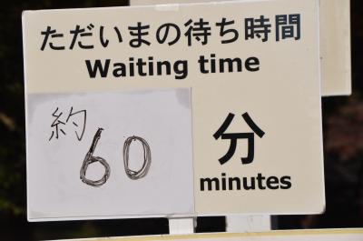 大嘗宮一般参観　最後の日に行ってきました。怒涛の100枚