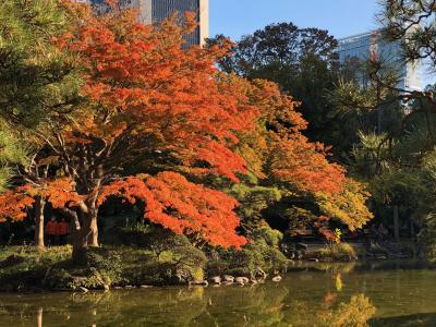 2019秋 紅葉の日比谷公園