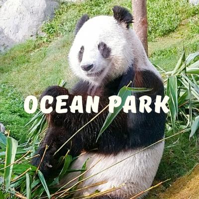 香港★久しぶりにパンダやペンギンに会いに　～香港海洋公園～