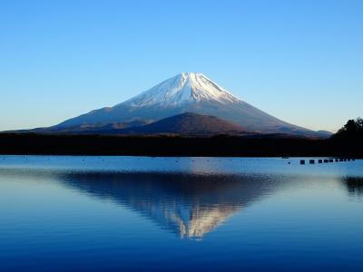 富士山展望♪雨ヶ岳・毛無山登山＆河口湖・精進湖