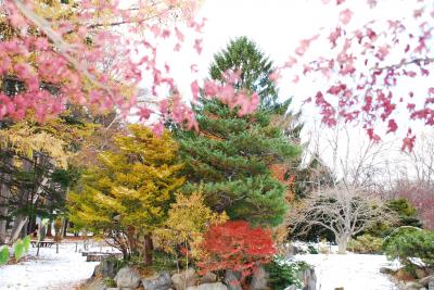 豊平公園の冬景色