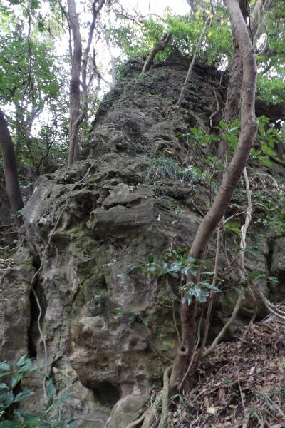 天園峠の岩