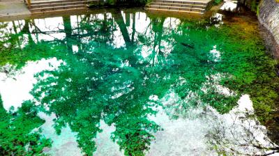 美祢市の名水百選に選定されている「別府弁天池」のエメラルドグリーンを見に行こう・・・