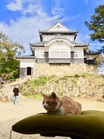 観るもの美味しいもの盛り沢山秋の山陽５日旅3日目