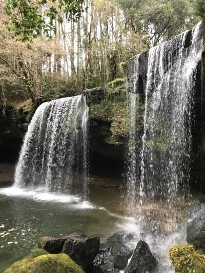 黒川温泉　野の花　ラムネ温泉　大丸旅館　鍋ケ滝　高千穂　天岩戸　岡城跡　菊池渓谷！