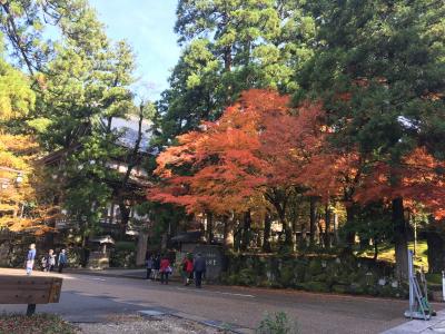 はじめての福井、歴史ミステリーの旅②