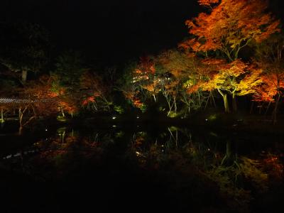 高台寺のライトアップ