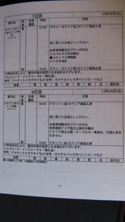 テネリフェ島　クィーンビクトリアカナリア諸島クルーズ　６－０　12月2９日(八日目)　