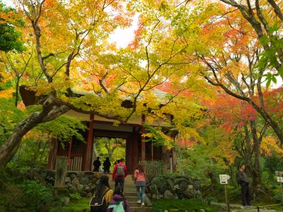 紅葉を撮るぞ！2日目　嵯峨野にて