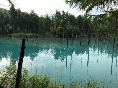 2019年7月夏休み北海道家族旅行3泊4日②