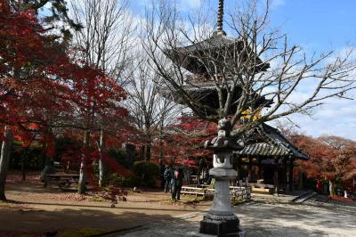 真正極楽寺、泉屋博古館、近代美術館